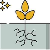 Ein Icon einer Pflanze mit Wurzeln, welches darstellen soll, dass man an die Wurzel geht und die Probleme an der Wurzel anpackt.